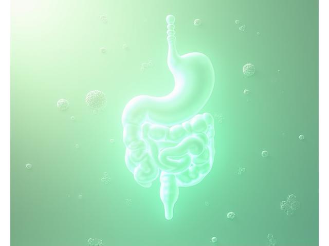 Representación visual abstracta y limpia del sistema digestivo humano, con un foco especial en el intestino grueso y delgado, iluminado internamente con un suave resplandor verde-azul. Alrededor de este, se ven siluetas tenues de bacterias amigables y alimentos fermentados (como kimchi o yogur) que giran en una órbita, simbolizando el microbioma y su importancia. El fondo es un degradado suave que evoca bienestar.